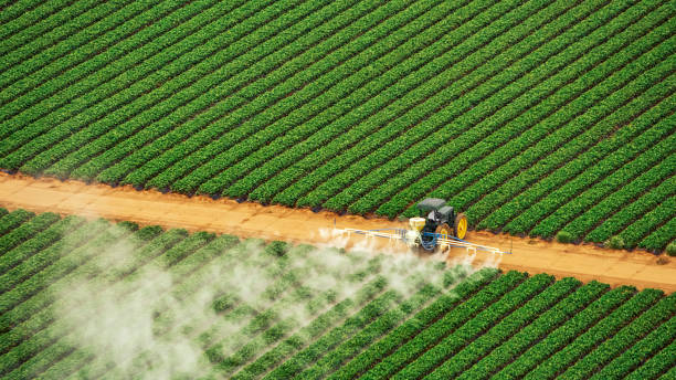 Best Insect Control  in Tamiami, FL