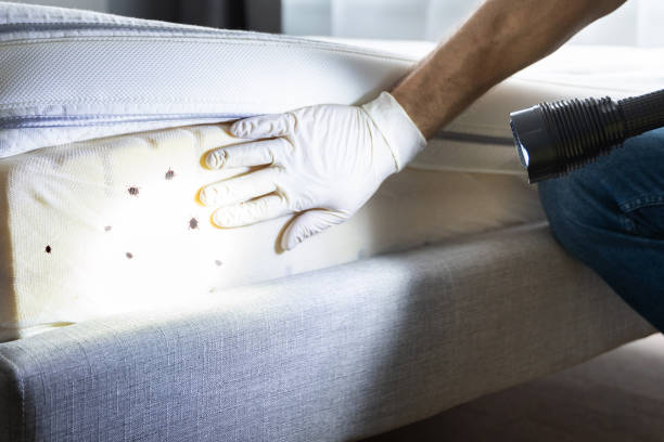 Pest Control Cost in Tamiami, FL