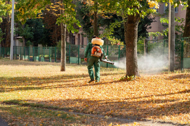 Best Pest Control for Businesses  in Tamiami, FL